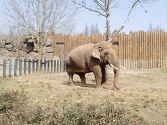 -济南野生动物世界