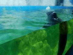 -多彩贵州城极地海洋世界