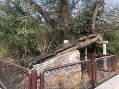 -红楼梦邮局