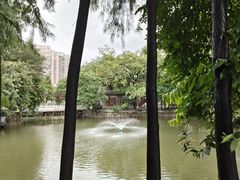 -荔湾湖公园