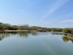 -大兴滨河森林公园