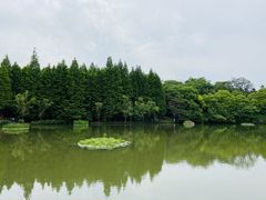 -天生桥景区