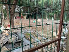 -呼吸森林·生态农庄农家乐私房菜