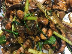 炒秋鱼-拉叔扇鸡