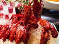 -金龙·打边炉(南京西路店)