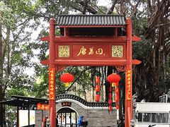 -侨美·唐荔园·40年地道粤菜