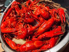 -蚝翅·海鲜粥·烧烤·宁夏滩羊季(玉米楼店)