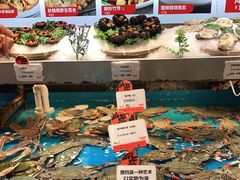 -必点海鲜·鲅鱼水饺(鞍山西道店)