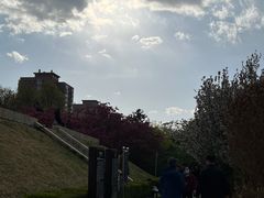 -元大都城垣遗址公园