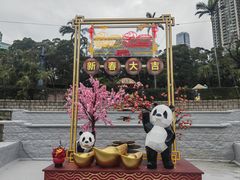 -九龙公园