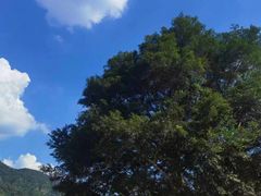 -飞霞风景名胜区