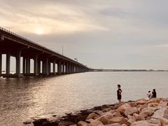 -宝安西湾红树林湿地公园