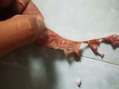 -王德炭烤牛羊肉(西关大街店)