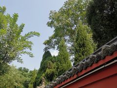 -洛阳周公庙博物馆