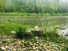 -新江湾城公园