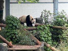 -红山森林动物园
