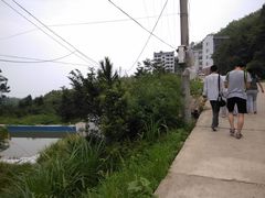 -大围山国家森林公园