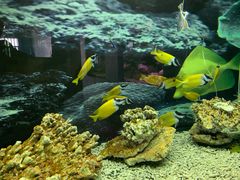 -泉州海丝野生动物世界