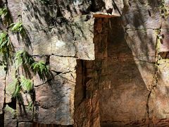 -五女峰国家森林公园