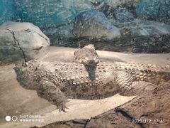 -新疆天山野生动物园