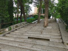 -风车面包
