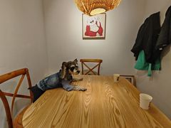 -沏点Trattoria意大利餐厅(新街口店)