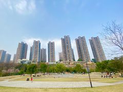 -重庆彩云湖湿地公园