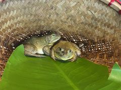 -蓝珊甄选海鲜自助·火锅大排档(近阿那亚店)