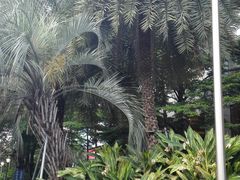 -广州粤海喜来登酒店