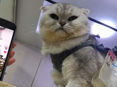 -太原东方动物医院(小店分院)