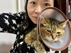 -瑞鹏宠物医院犬猫全科(真大分院)