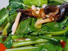 -新白鹿餐厅(百联中环店)