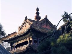 -北陵公园