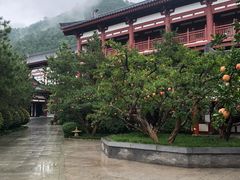 -西安华清御汤酒店