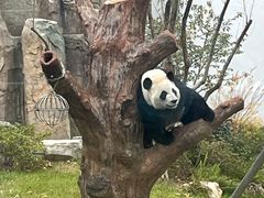 -无锡动物园·太湖欢乐园