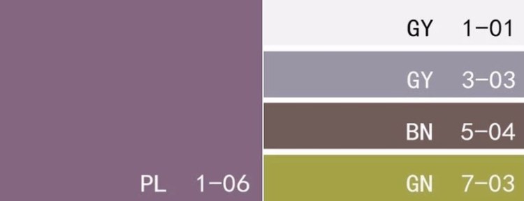 色卡:葡萄汁色,亮白色,丁香灰,深灰褐色,绿洲色 这间更衣室是南哥特式