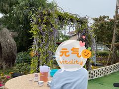 -竹语饭香·原生态农庄·烧鸡·竹筒饭·河鲜(森林海白水寨店)