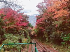 -神户市立六甲山牧场