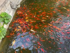 -红螺寺