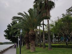 -白鹭洲公园