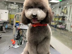 -宠物家(双井店)
