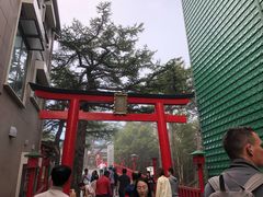 -富士山吉田線五合目