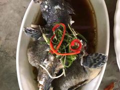 -四川小胡子海鲜(丁村万人海鲜广场店)