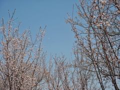 -艾溪湖湿地公园