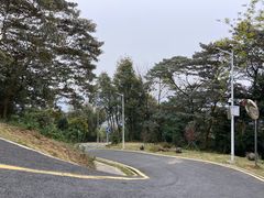 -黄埔油麻山森林公园