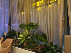 -润园四季椰子鸡火锅(卓越INTOWN店)