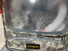 -美联众合动物医院·24h转诊中心