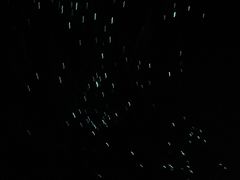 -怀托摩萤火虫洞