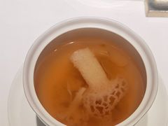 -觀芷隐轩