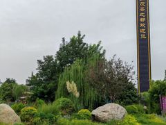 -茯茶镇